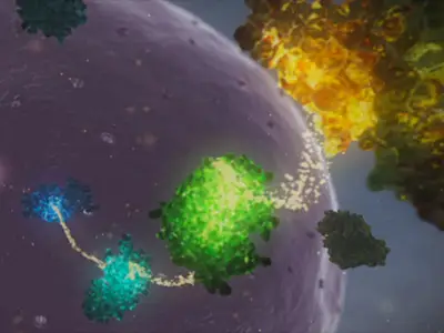 Screenshot of high def video