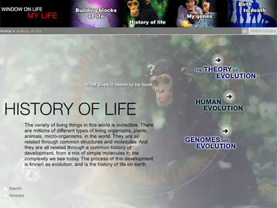 Screenshot of window on life